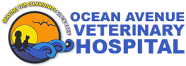 Ocean Avenue Veterinary Hospital