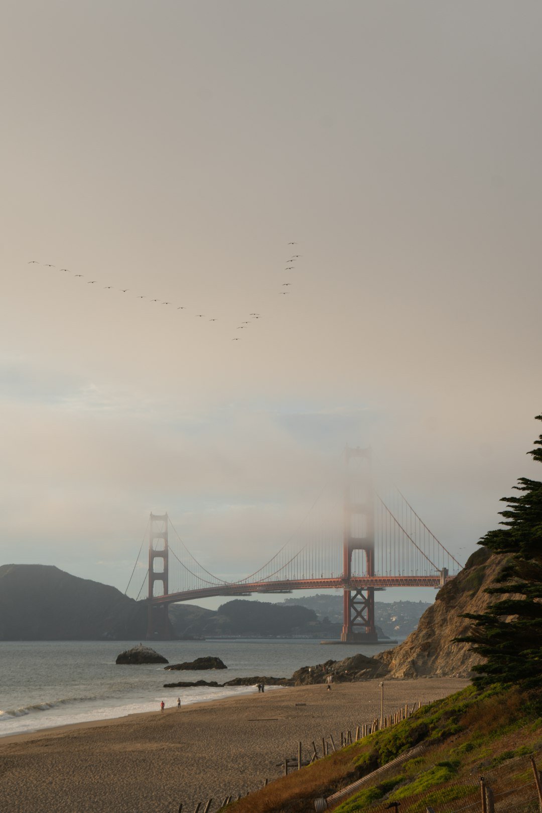 The Fog Belt
